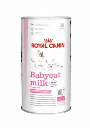 Royal Canin Baby Cat Milk - Lait en poudre