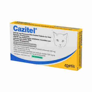 Cazitel Cat