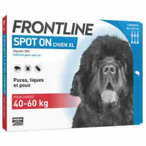 Frontline Spot On pour Très Grand Chien (40-60kg)