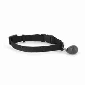 Staywell Collier avec clé magnétique - Utiliser avec Staywell 400/420/440