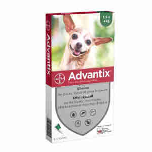 Advantix Très Petit Chien de 1,5 à 4 kg