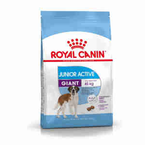 Royal Canin Giant Junior Active Hundefutter