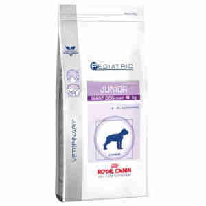 Royal Canin Pediatric Junior Giant Dog