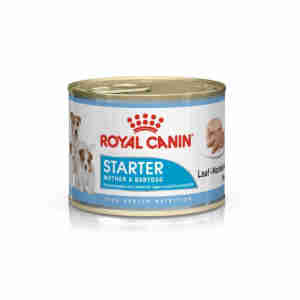 Royal Canin Starter Mousse Mother & Babydog