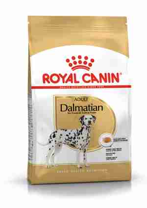 Royal Canin Dalmatien 22