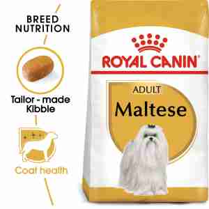 Royal Canin Maltese 24 ADULT