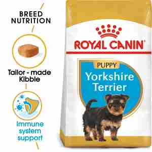 Royal Canin Yorkshire Terrier 29 JUNIOR