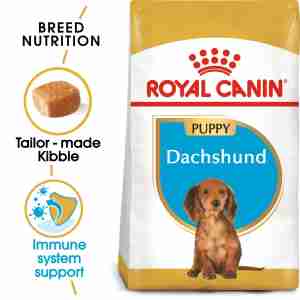 Royal Canin Dachshund 30 JUNIOR