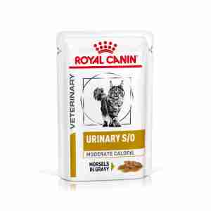Royal Canin Urinary S/O Moderate Calorie Katzenfutter (Nass)