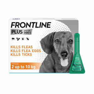 Frontline Plus Flea & Tick Small Dog (2-10kg)