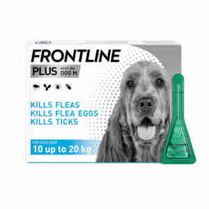 Frontline Plus Flea & Tick Medium Dog (10 -20kg)