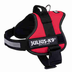 Harnais Julius-K9 Power - Rouge