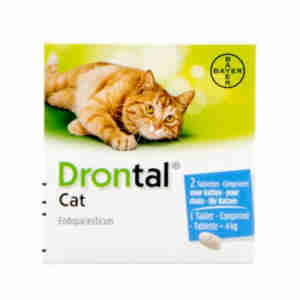 Drontal pour chats - Comprimé vermifuge