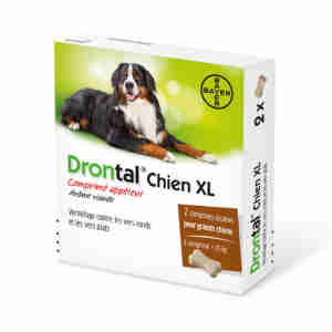Drontal Plus XL Vermifuge pour chiens – Boites de comprimés