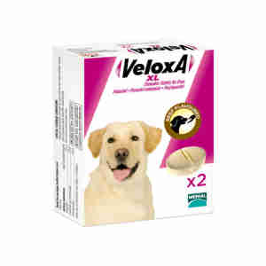 Veloxa Chewable Worming Tablets XL