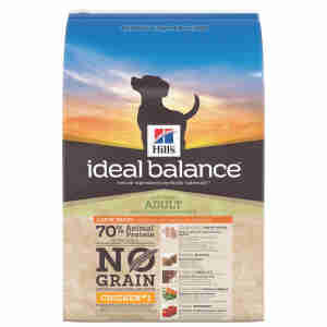 Croquettes Hill’s Ideal Balance sans céréales pour grands chiens adultes