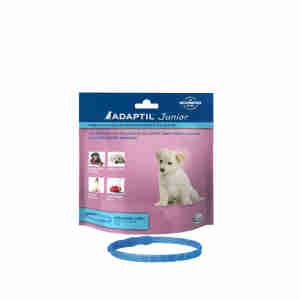Collier Adaptil Junior