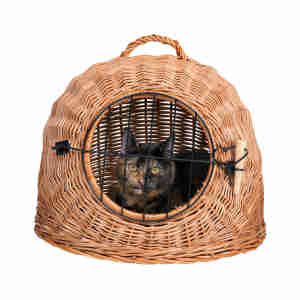 Trixie Wicker Cat Basket and Carrier
