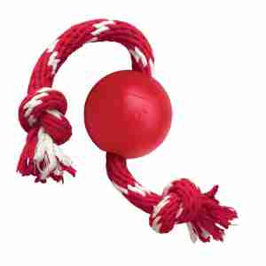 Balle avec corde KONG pour chien