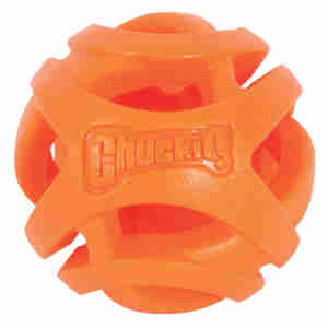 Balle à lancer Breathe Right Chuckit pour chiens
