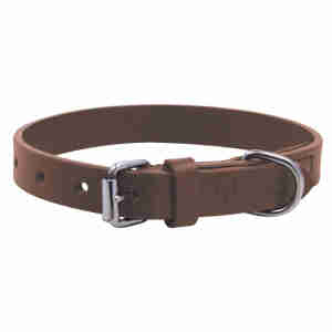 Collier Gloria Plat en Cuir Marron Pour Chiens