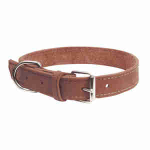Collier Gloria en Cuir Nubuck Marron Pour Chiens