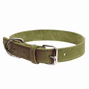 Collier Gloria en Cuir Nubuck Vert Pour Chiens