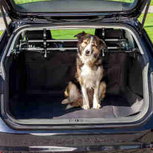 Trixie Car Boot Cover