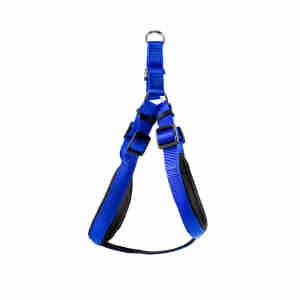 Harnais Kokoba pour chien - Bleu