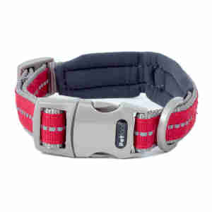 Petface Signature Gevoerde Hondenhalsband in Rood