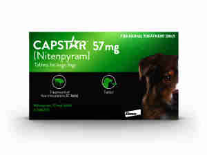 Capstar Flea Treatment Tablets for Dogs