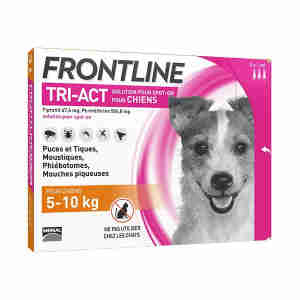 Frontline Tri Act pour Petit Chien (5-10kg)
