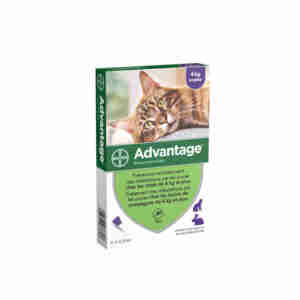 Advantage pour Chat et Lapin (plus de 4kg)