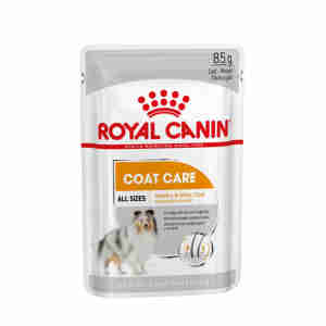 Royal Canin Coat Care Wet Adult Dog Food