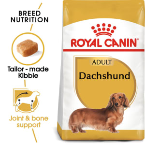 Best food 2025 for dachshunds uk