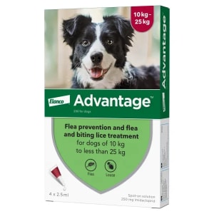 Bayer flea treatment on sale