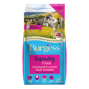 best kibble for lurchers