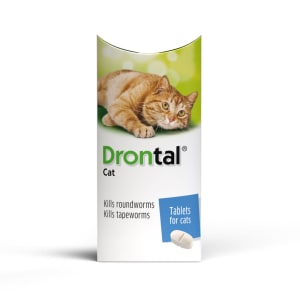flea and worm medicine for cats