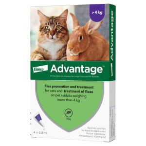 Advantage Spot On Flea Treatment for Pet Supermarket