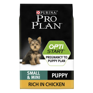 pro plan mini puppy food