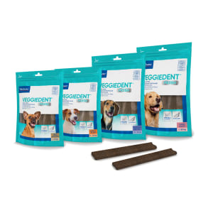 Tartar control dog hot sale treats