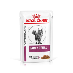 Royal canin renal 2025 dog food pouches