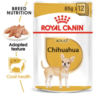 royal canin breed health nutrition chihuahua wet dog food