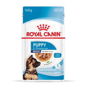 royal canin shn maxi puppy