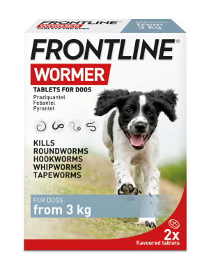 Frontline medication best sale