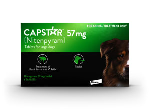 capstar flea pill for dogs