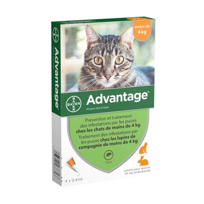 Advantage Pour Chat Et Lapin Moins De 4kg 4 Pipettes Advantage 40 Moins De 4 Kg