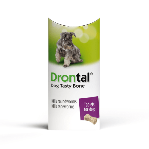 dog wormer uk