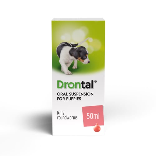 drontal oral suspension for puppies dosage