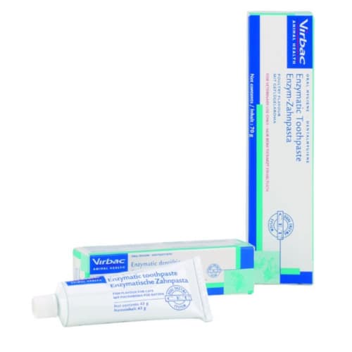 enzymatic toothpaste